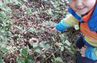 Afbeelding-van-WhatsApp-op-2024-10-02-om-14.36.24_c62d490b