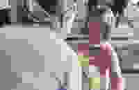 d3f5f7fc-d840-4624-a653-e71bbce2e309