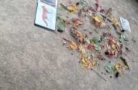 IMG-20251011-WA0003