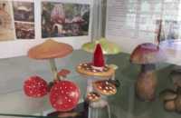 Afbeelding-van-WhatsApp-op-2024-10-02-om-14.36.17_3d069764