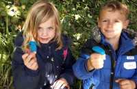 Afbeelding-van-WhatsApp-op-2024-10-02-om-14.36.27_bd25f5da