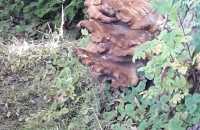 Afbeelding-van-WhatsApp-op-2024-10-02-om-14.36.39_509f5282