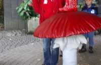 Afbeelding-van-WhatsApp-op-2024-10-02-om-14.36.41_50353692