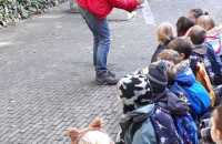 Afbeelding-van-WhatsApp-op-2024-10-02-om-14.36.43_faa90bf2