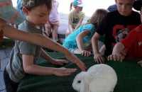 IMG-20240628-WA0002
