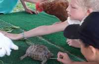IMG-20240628-WA0004
