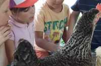IMG-20240628-WA0005