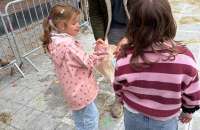 IMG-20261010-WA0008