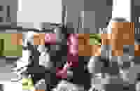 a1df653e-7e87-4197-a048-f51cc14f2437